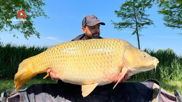 Először 20 kg felett