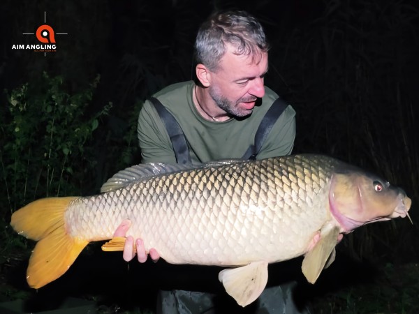 A Kis-Balaton vad pontyai