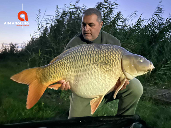 Őszi Merenye