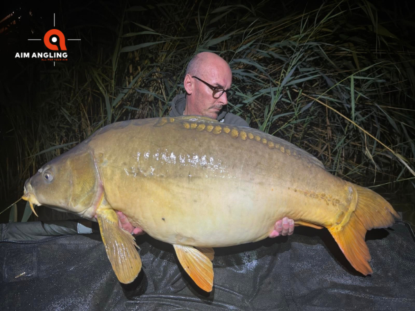 2 kg bojli
